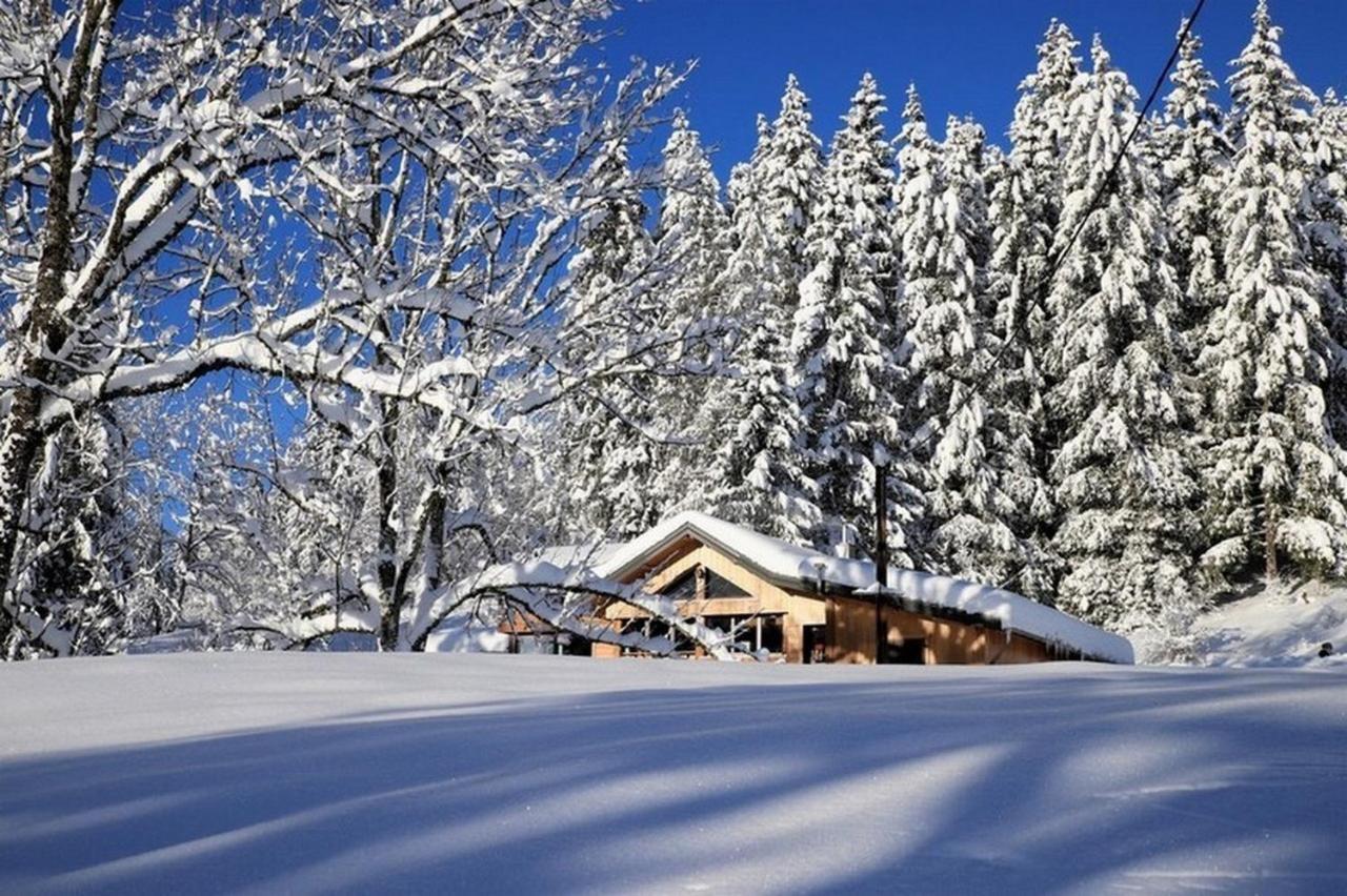 Chalet Le Petit Jura Villa Morbier Luaran gambar